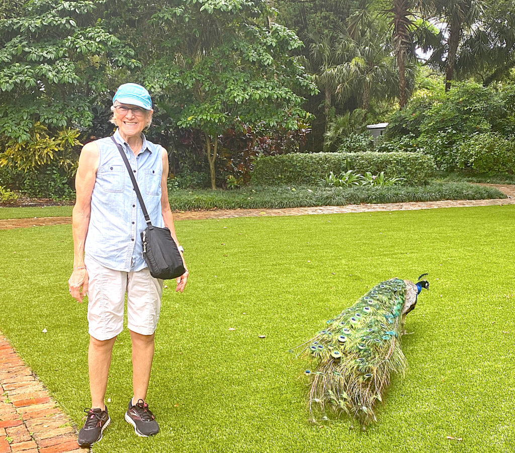 Tourist with a peacock