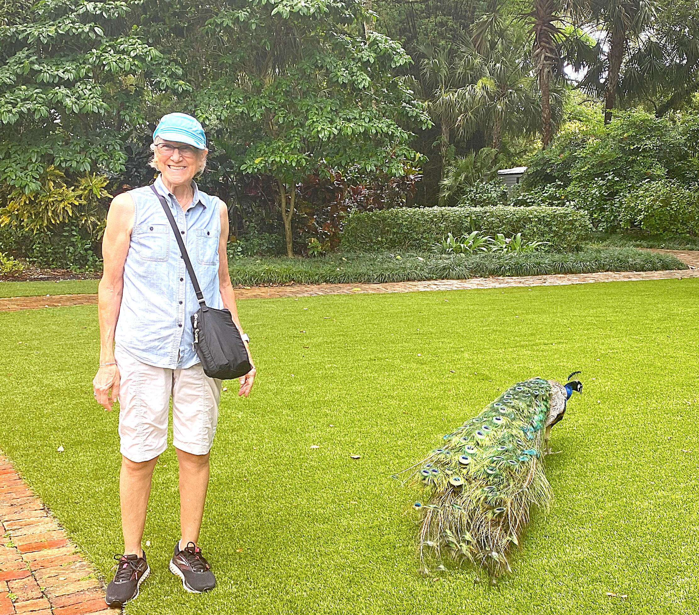 Tourist with a peacock